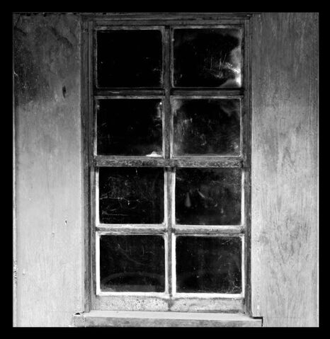 File:CreepyWindow.jpg