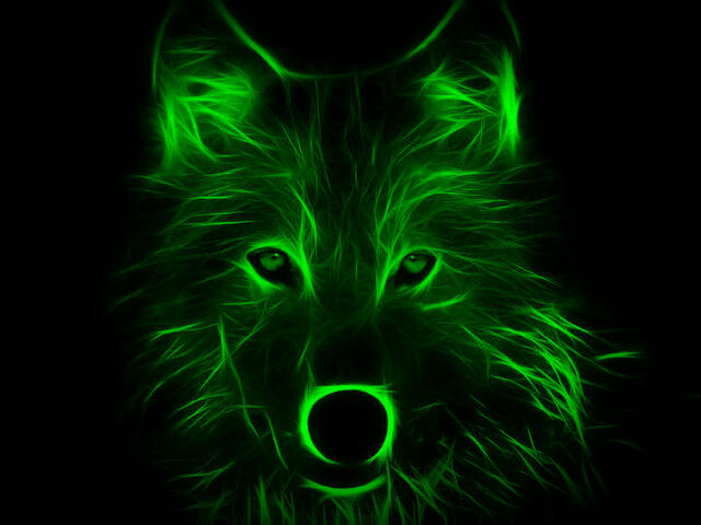 File:Kingwolf4.jpg