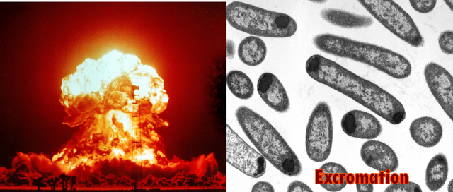 File:Excromation.png