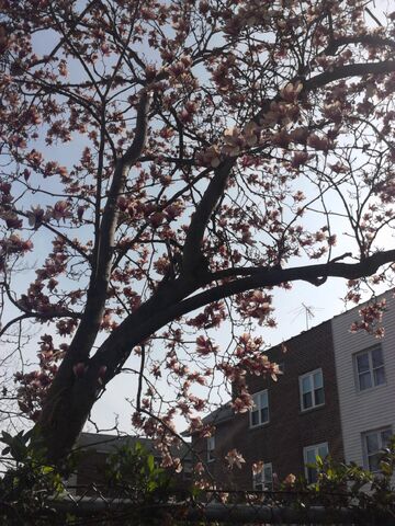 File:IMG 20140419 161848.jpg