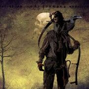 Images (8)
