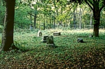 File:Bach grove2.jpg
