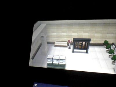 Photo 00002