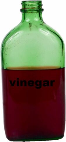 File:Bottle of blood.jpg
