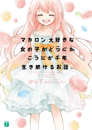 Macaron cover