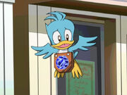 183bird