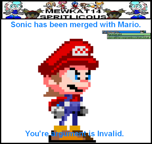 File:SpritalicousMewkat14SomariInvalid.png