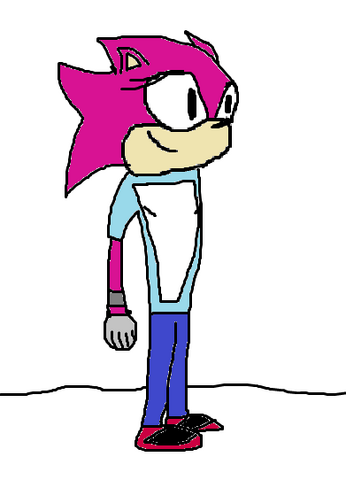 File:CoritheHedgehog.png