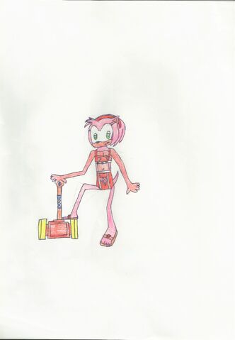 File:Amy Rose Beach.jpg