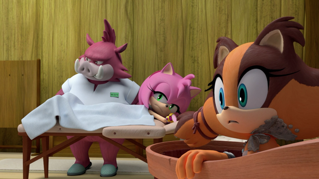 File:Amy and Sticks spa.png