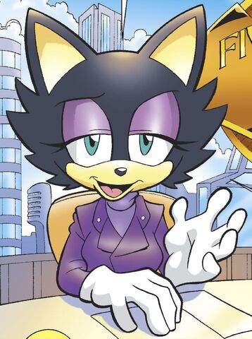File:Sasha Cat.jpg