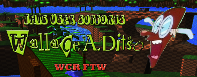 File:Ditso-banner.png