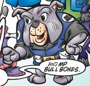 Bull Bones.jpg