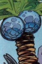 Gumtreeberries