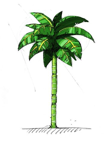File:Palmtree.jpg