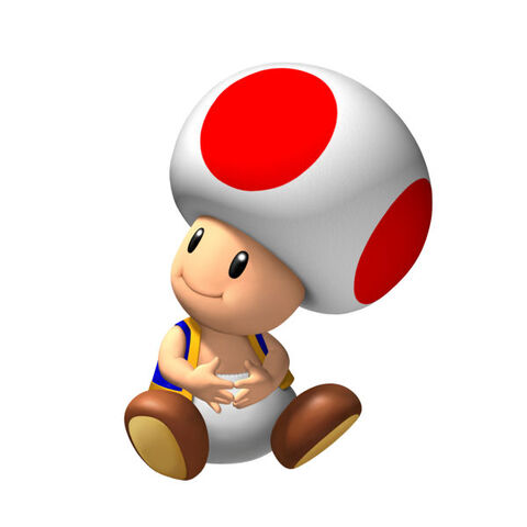 File:Toad 1.jpg