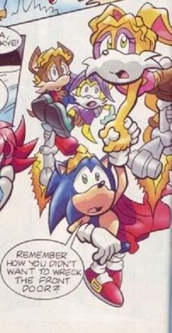File:King-Sonic-Belle-Jacques-and-Melody-fighting-for-freedom-16403623-303-586.jpg