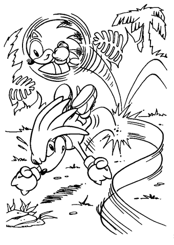 File:Sonic&Knuckles(Troll)7.png