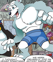 213px-Augustus the polar bear
