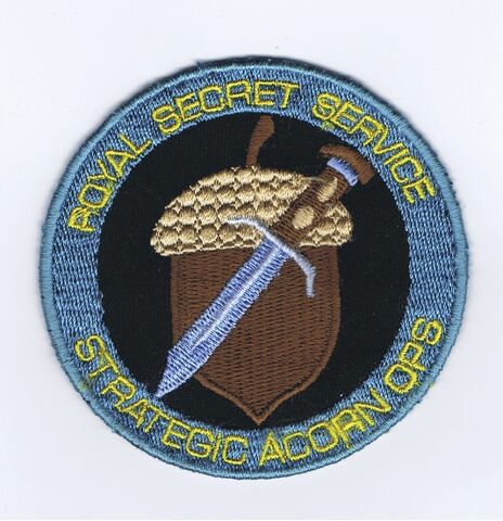 File:RSS Patch.jpg