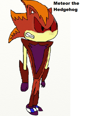 File:MeteorTheHedgehog.png