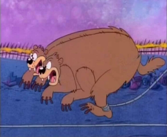 File:Fuzzy Wuzzy after.jpg
