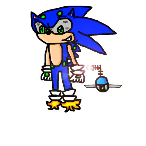 File:Sonic the Hedgebot by Wk.jpg