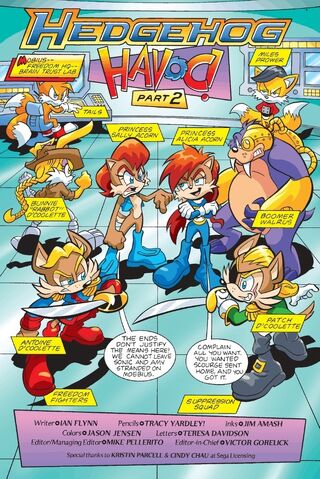 File:HedgehogHavoc2page1.jpg