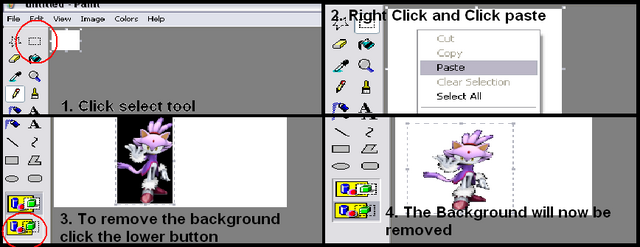 File:HowtoCopyandPasteandremoveBG.png