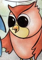 STC12-SteveOwl