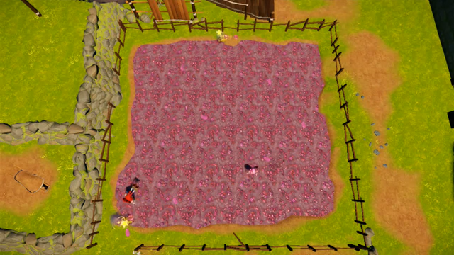 File:Burrow spots RoL.png
