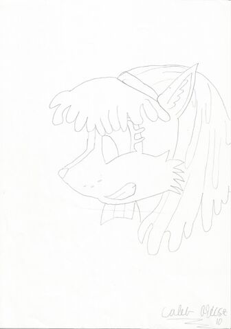 File:Lyco sketch.jpg