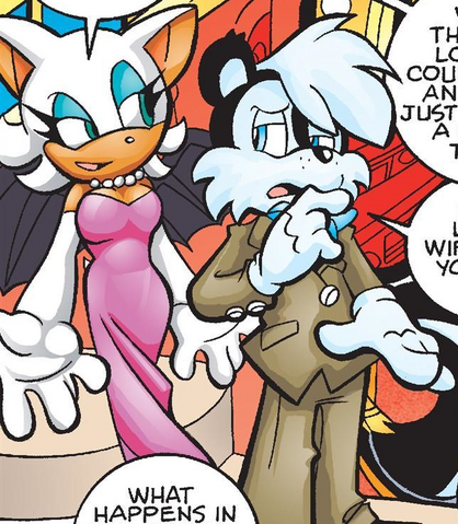 File:Rouge undercover.png