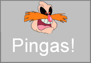Pingas Insignia