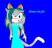 Winter the cat