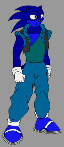 File:Damashi the Hedgehog.png