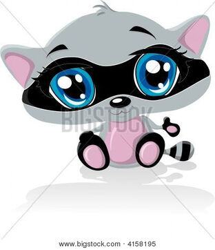 Raccoon Daniel (Sam)