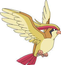 Pidgeot AG anime