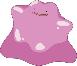 Ditto AG anime