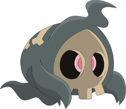 Duskull AG anime