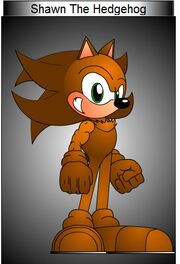 Shawn The Hedgehog