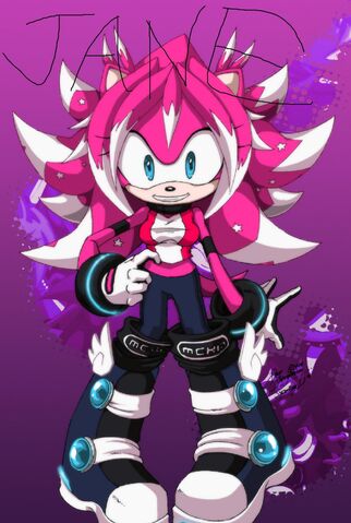 File:Jane-TheHedgehog-sonic-girl-fan-characters-17130734-1721-2560.jpg