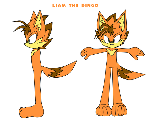 File:LiamUnclothedReference.png