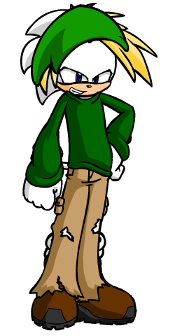 BEN the Hedgehog | Sonicstory Wiki | FANDOM powered by Wikia