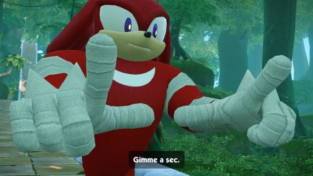 Fichier:SBROL Knuckles 01.jpg