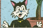 Salem the cat.png