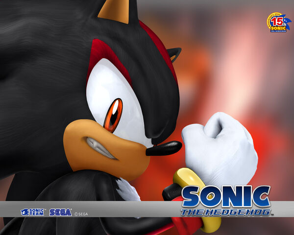 Datei:Shadow-the-hedgehog.jpg