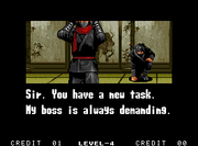 Ninja
