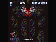 Insect