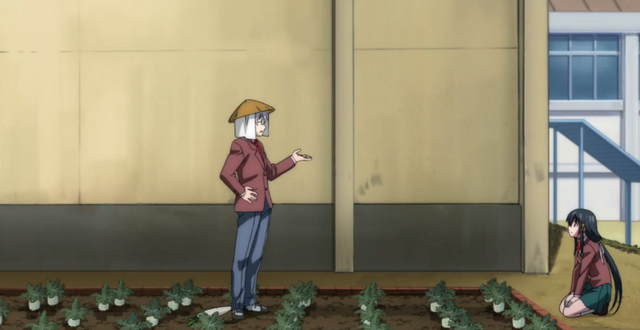 Datei:Rettich.png